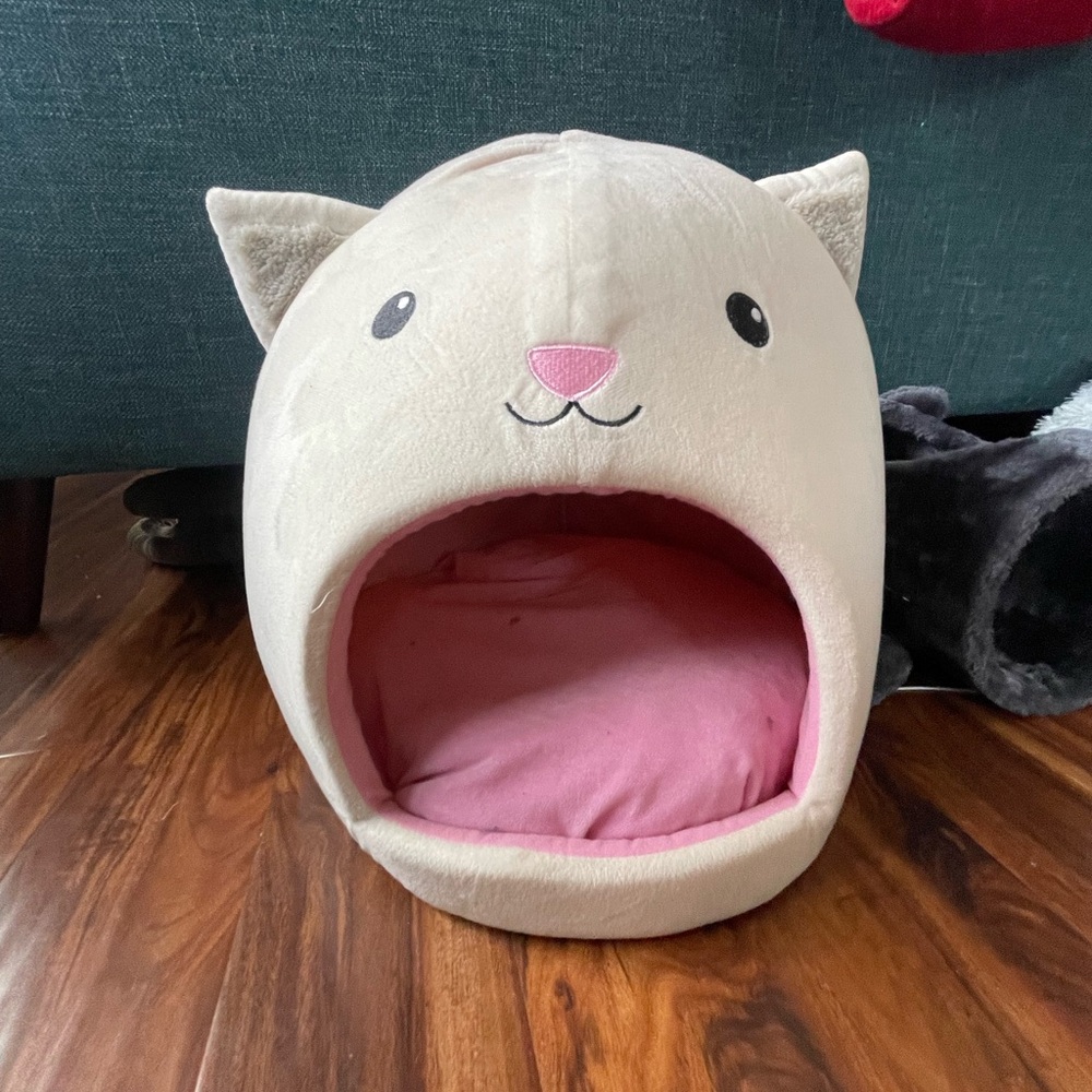 Cat bed